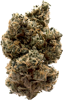 Weed Sweet DRIVE 国内純正品 Recreational Cannabis Dispensary in Minneapolis, MN | Sweetleaves